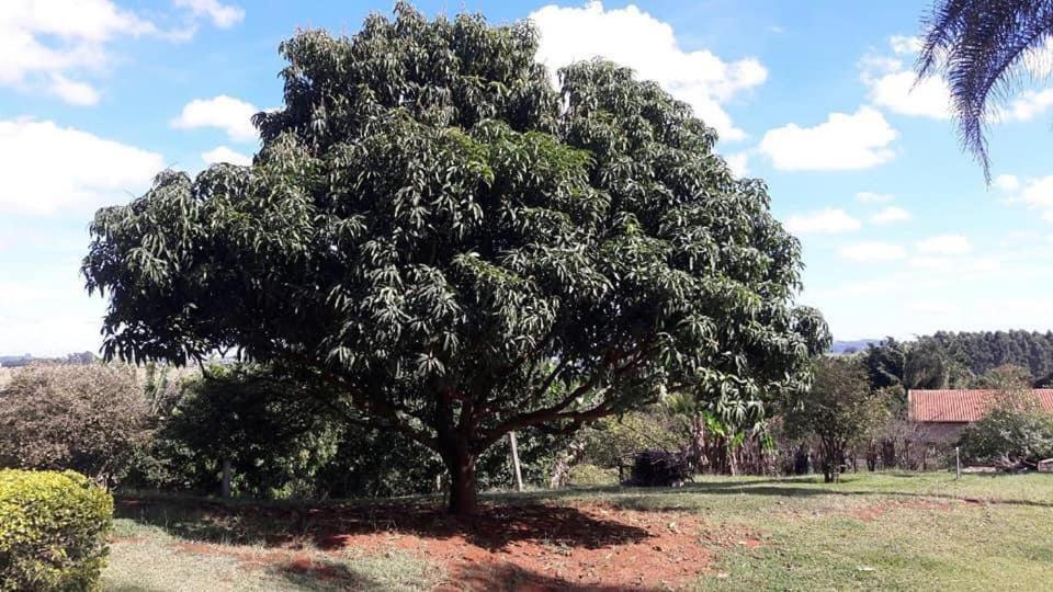 Sitio Em Atibaia - Sitio Beija-Flor Villa Eksteriør bilde